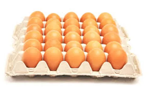 CUBETA HUEVO TIPO B X 30