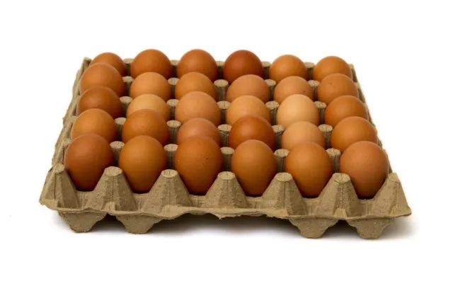 CUBETA HUEVO TIPO A X 30