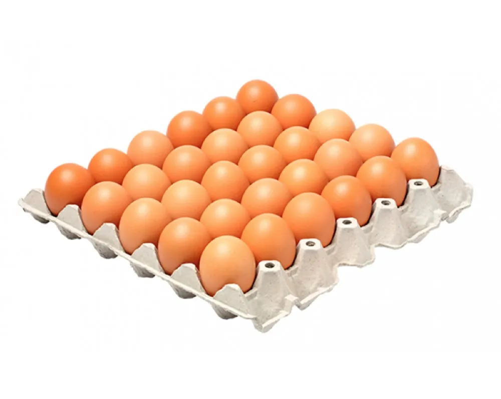 CUBETA HUEVO TIPO AA X 30