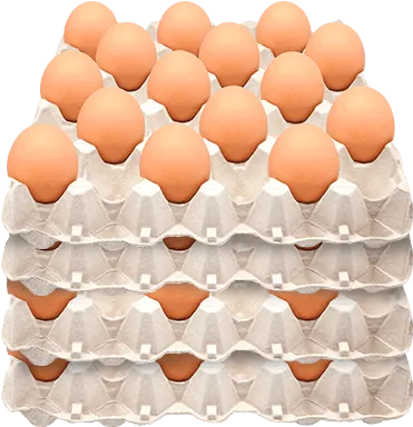 CUBETA HUEVO TIPO JUMBO X 30